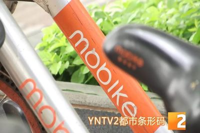昆明共享單車管理升級 違停摩拜將罰款，ofo小黃車批量封存